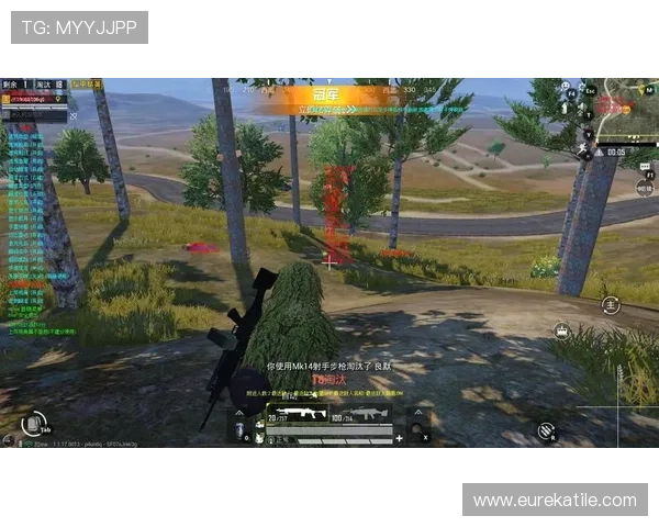 博天堂官网网址官方平台优势，丰富游戏种类与优质客户服务